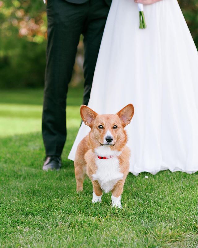 Bridget and Patrick got married during Hurricane Dorian - more precisely, their ceremony took place during the eye of the storm 🌪 Because the hurricane was in full swing by the time we were ready for photos, we got together this past weekend to do s