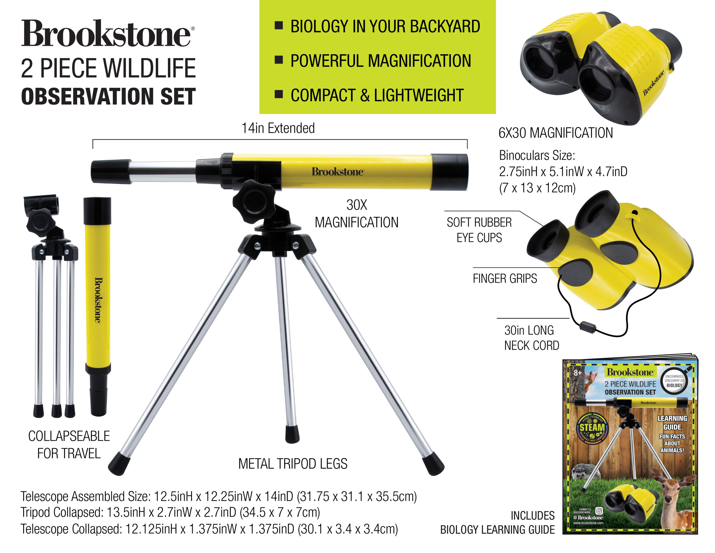 WILDLIFE-OBSERVATION-SET-PRESENTATION-2.jpg