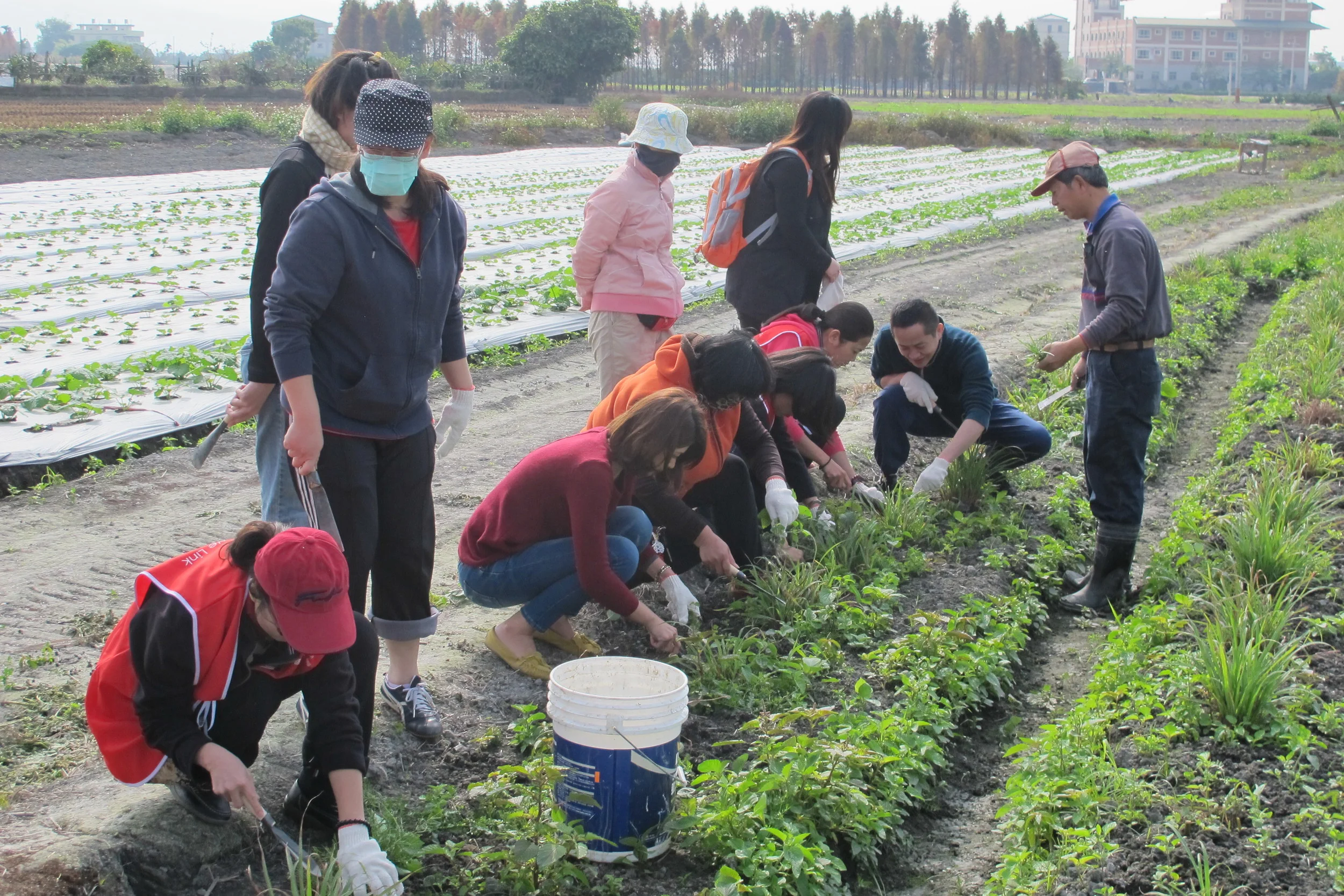 企業挽袖 一日志工服務去