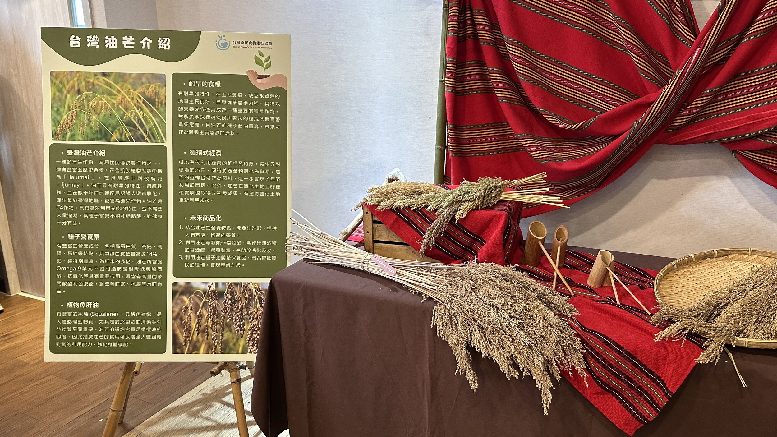 氣候變遷下的救荒作物「食農教育-臺灣油芒復耕計劃」三年有成