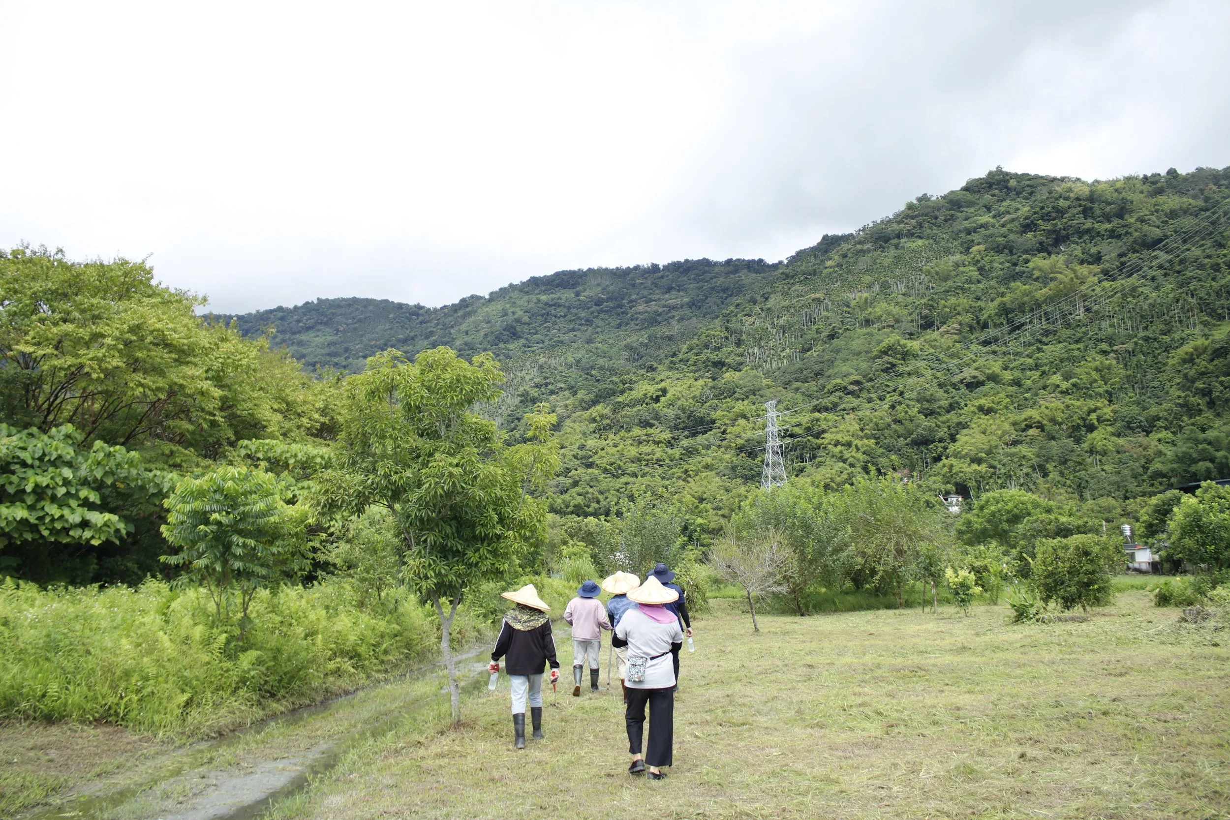 _MG_5528.JPG