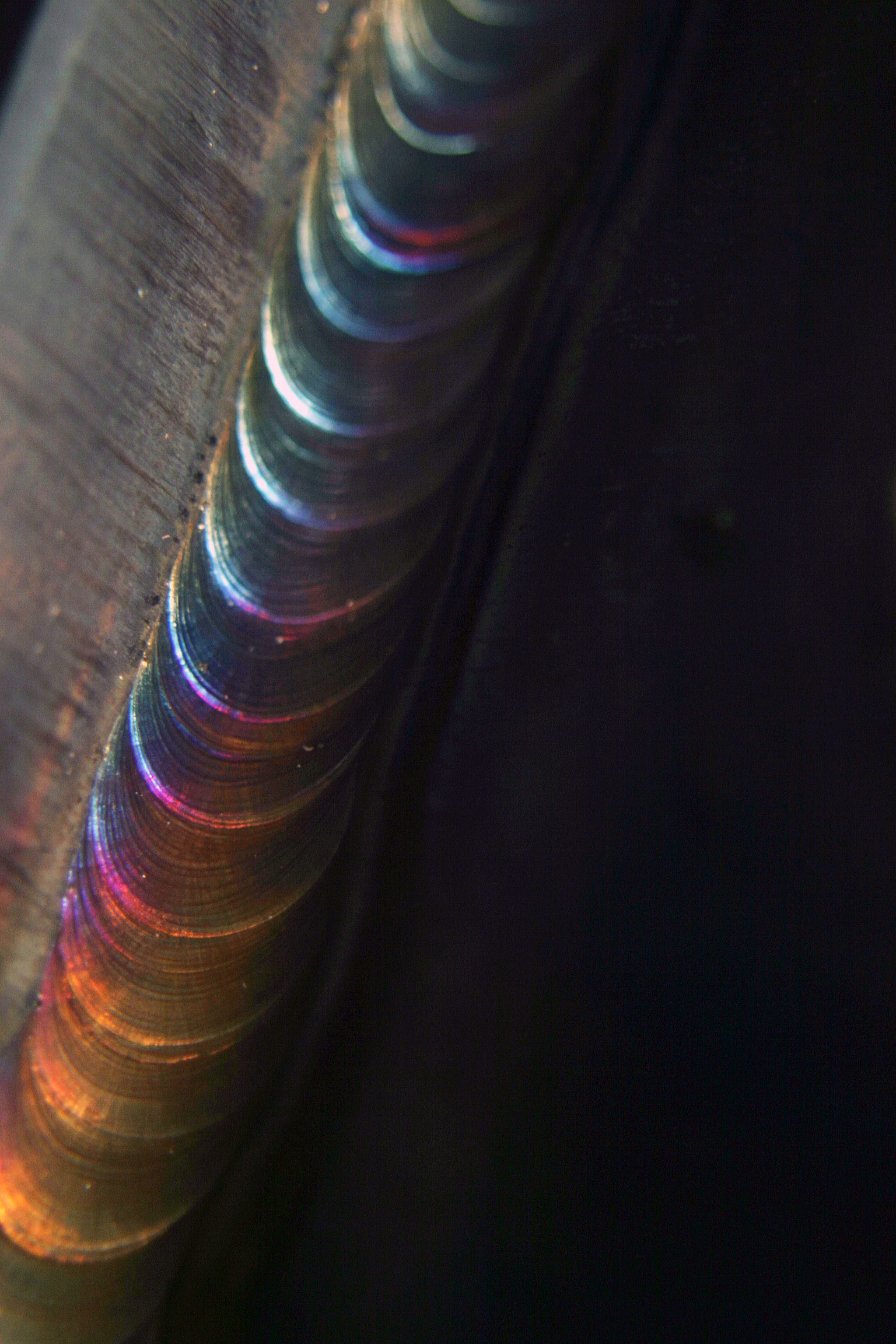 Form and Function