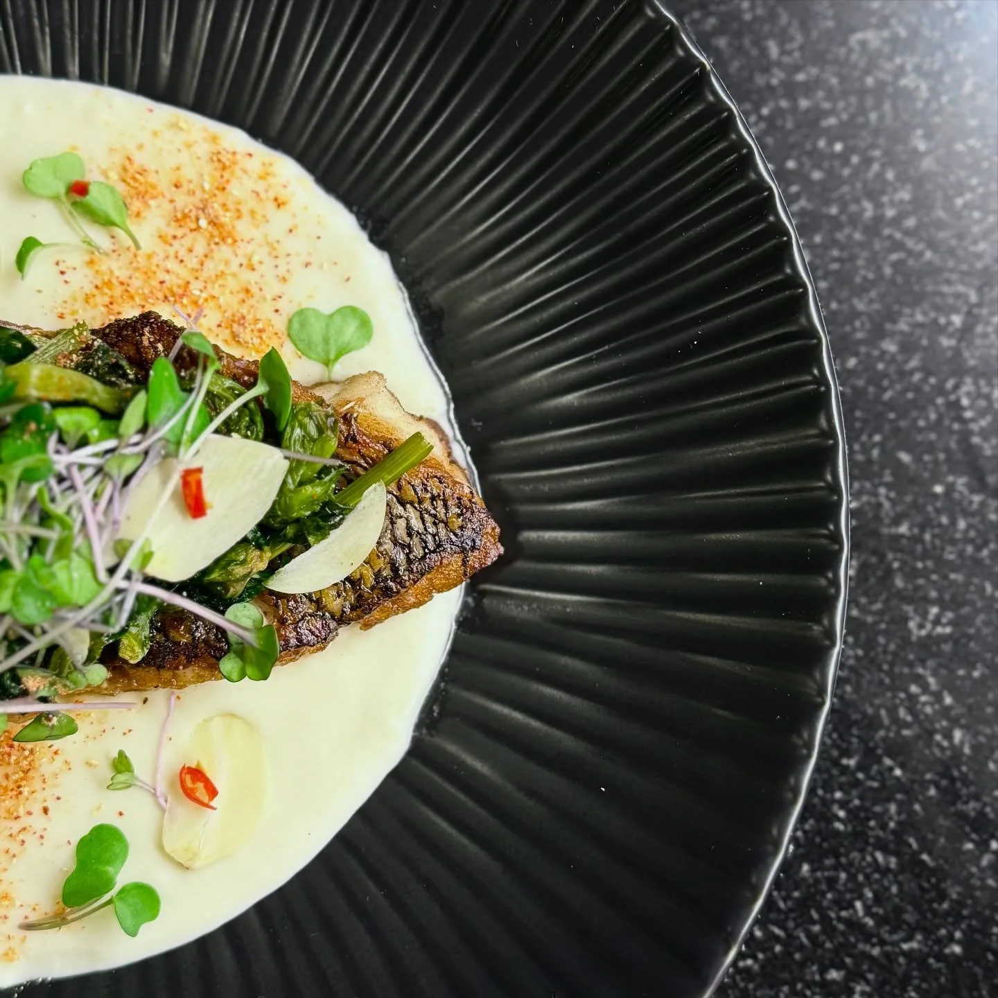 Ngl, these flavors got me hooked 😌👌🏽🌶️🎣 #8CountKitchen #ChefJermaineWright

Crispy Skin Branzino. Pommes Puree. Chinese Snow Pea Shoots. Hydrated Chinese Chilis. Sliced Garlic. Golden Oyster Mushroom and Chili Salt. Chili Oil. 
.
.
#cheflife #ch