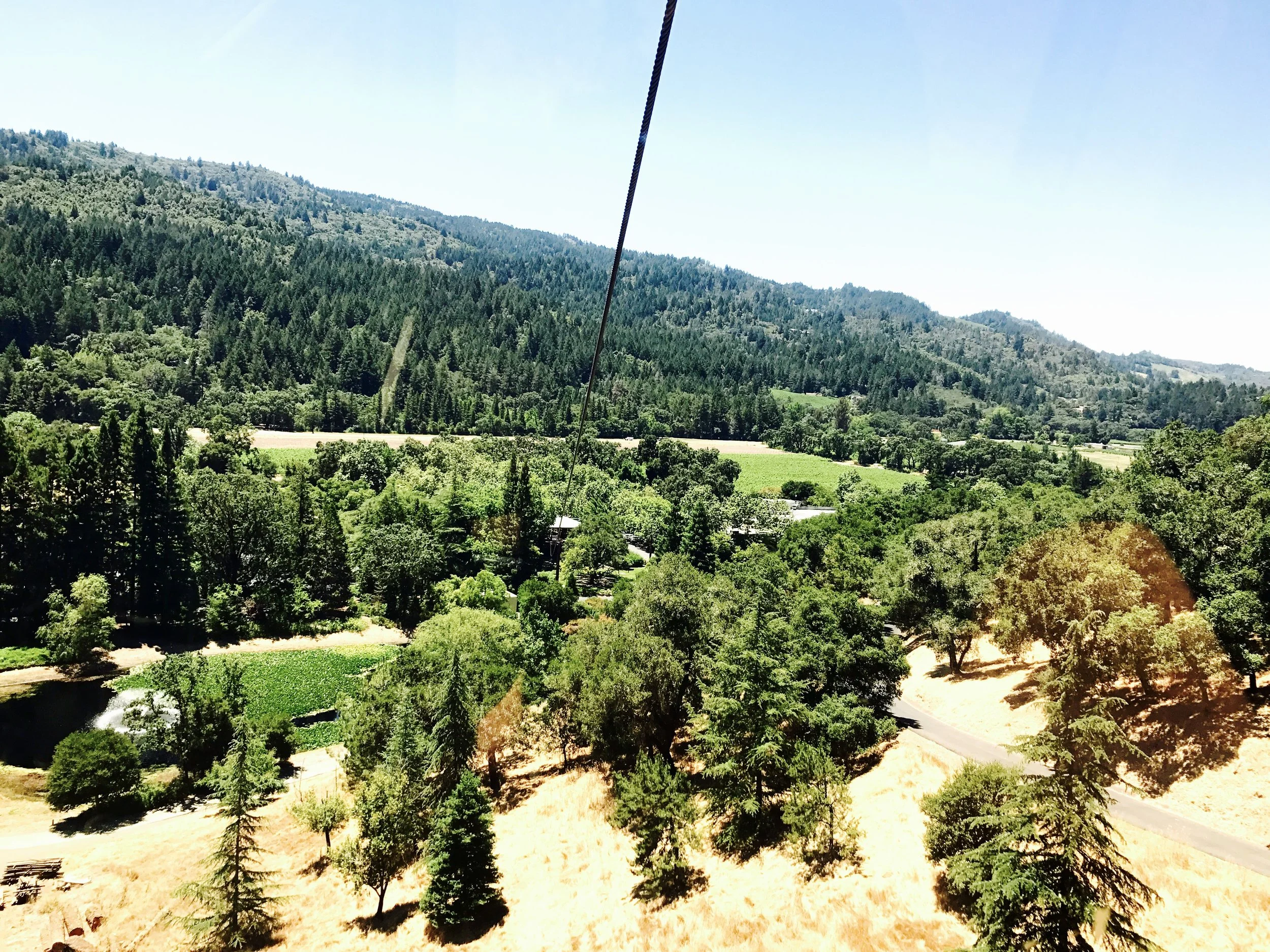It's a good thing my dad wasn't with us on the gondola, he probably would have freaked out!