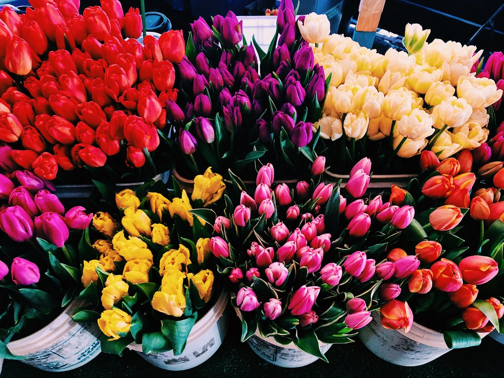Pike Place tulips.jpg