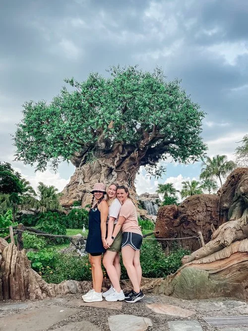 Birthday Vacay: Disney Bound