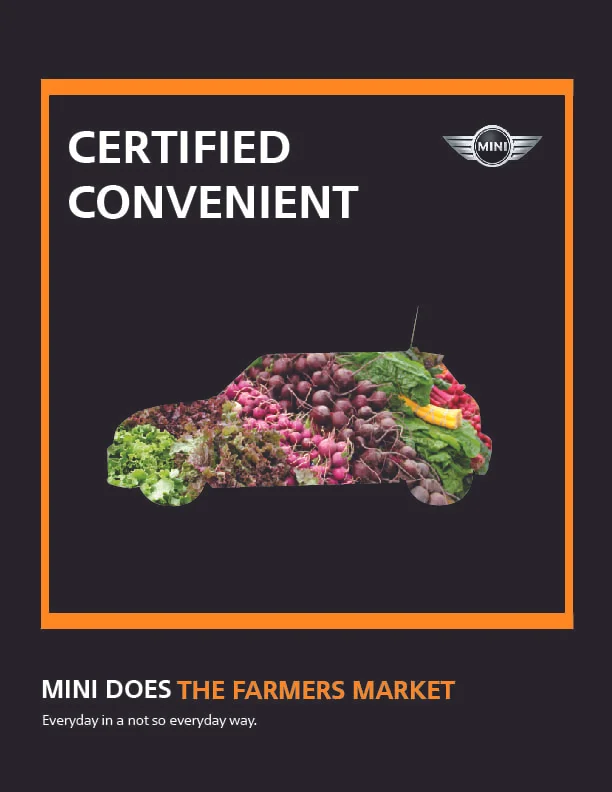 MINI ADS-01.jpg