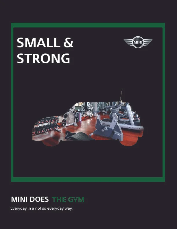 MINI ADS-04.jpg