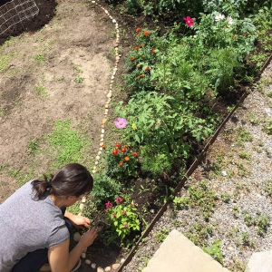 Garden installation by Danielle Serigano