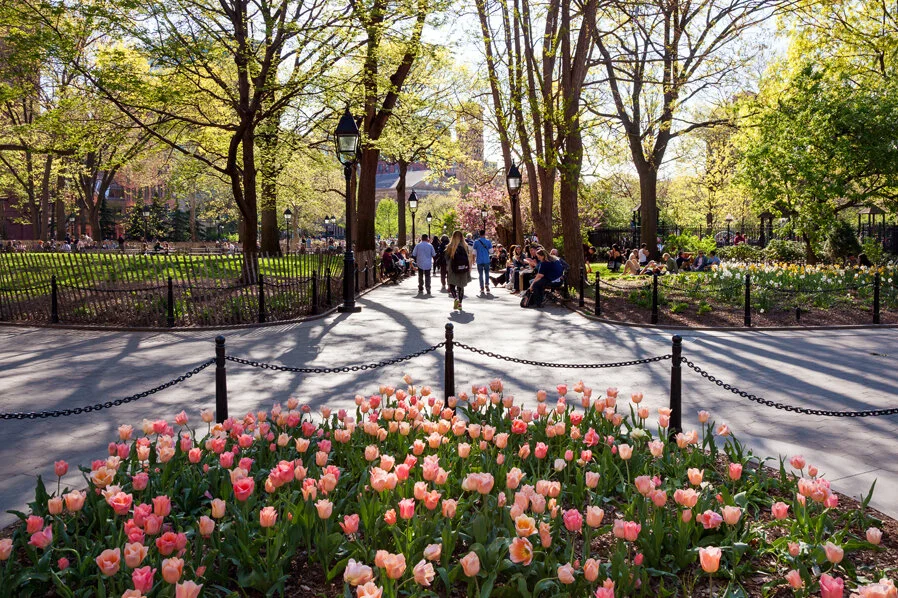 New York City Flowers 3.jpg