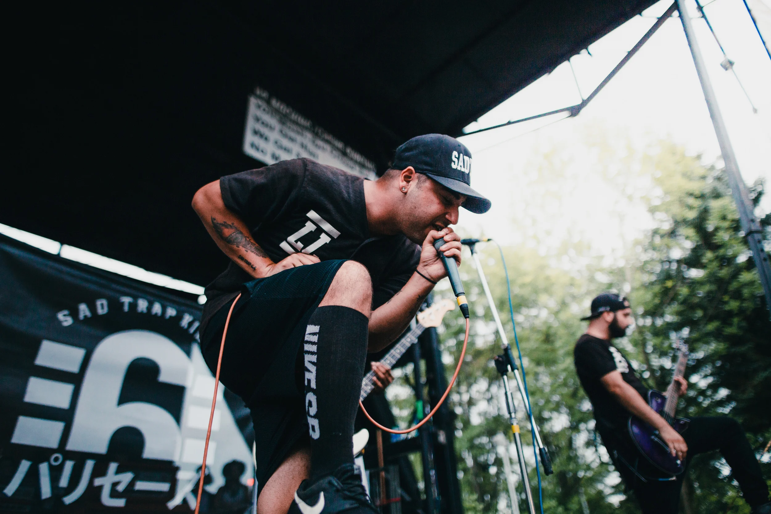 Palisades