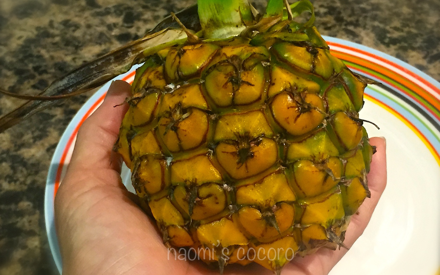 Home grown ”Pineapple" 