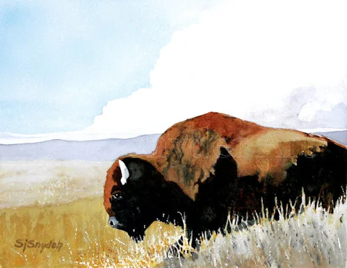 old-bull.jpg