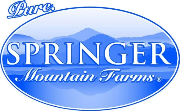 Springer logo.jpeg