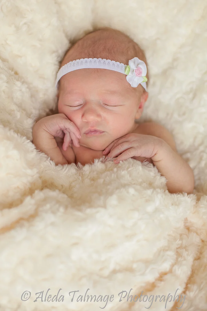 AledaTalmagePhotography_Babies2.jpg