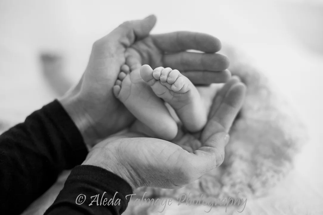 AledaTalmagePhotography_Babies5.jpg