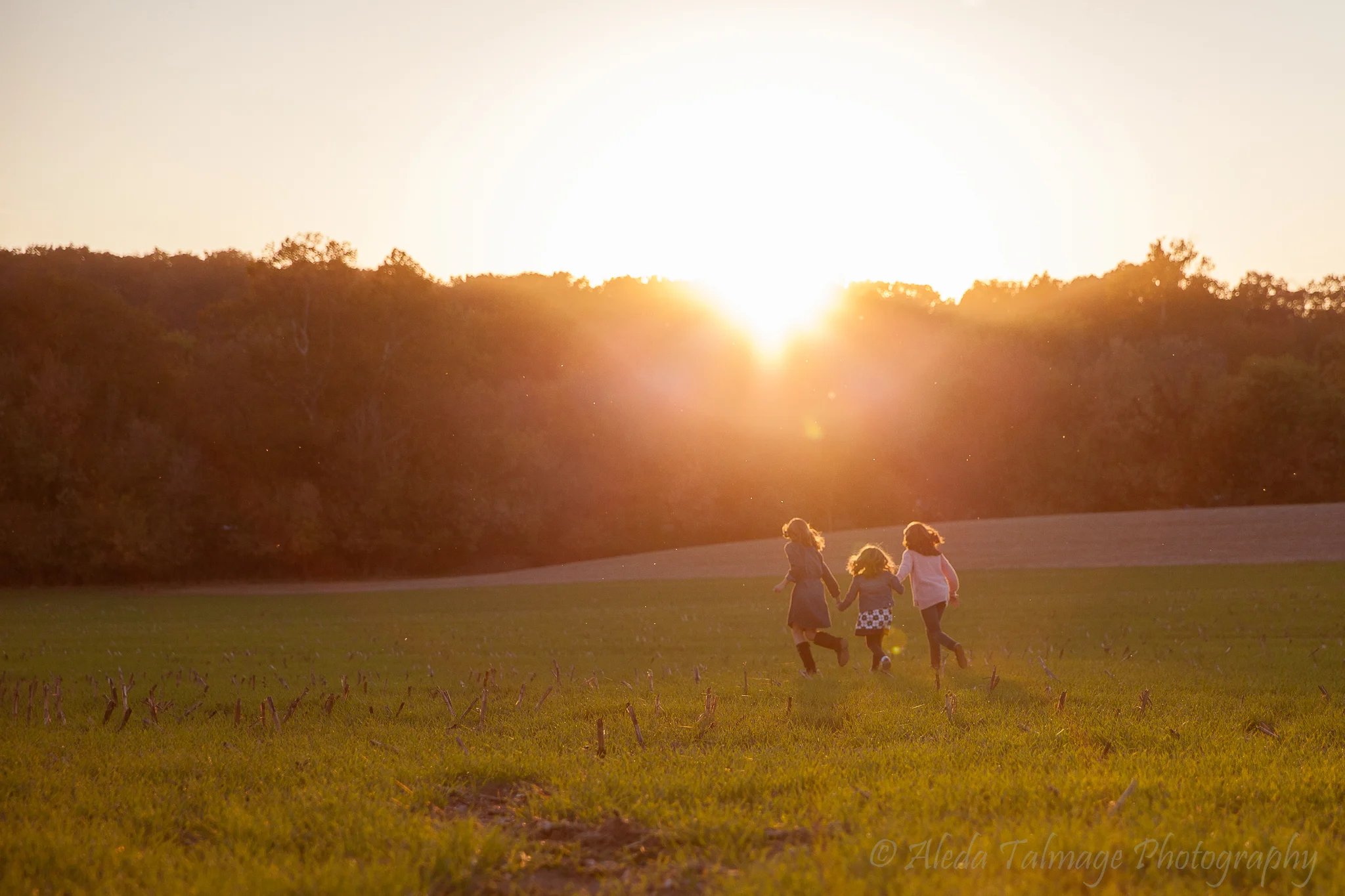 AledaTalmagePhotograpy-76.jpg