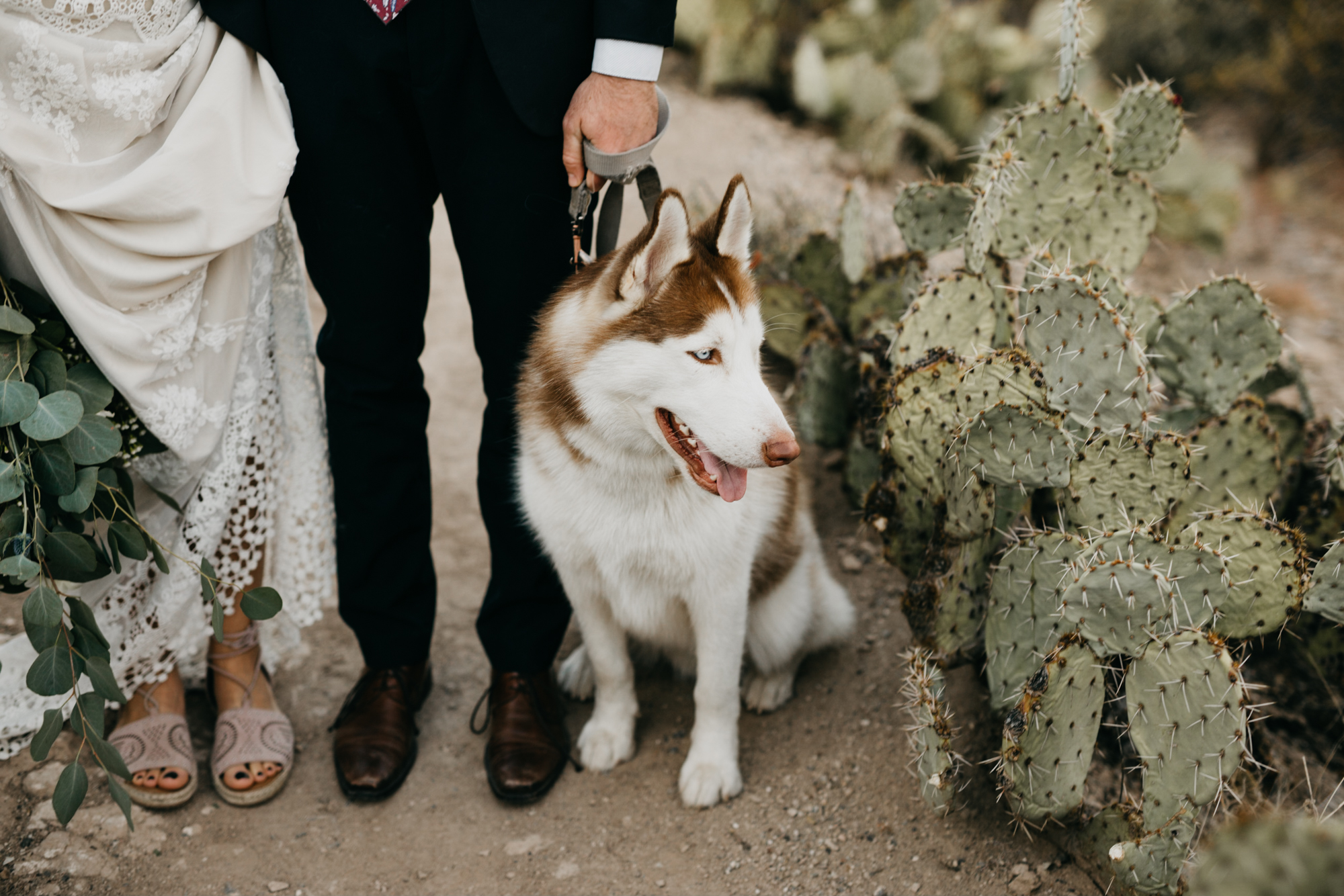 Melody+Ryan-sunset-16.jpg