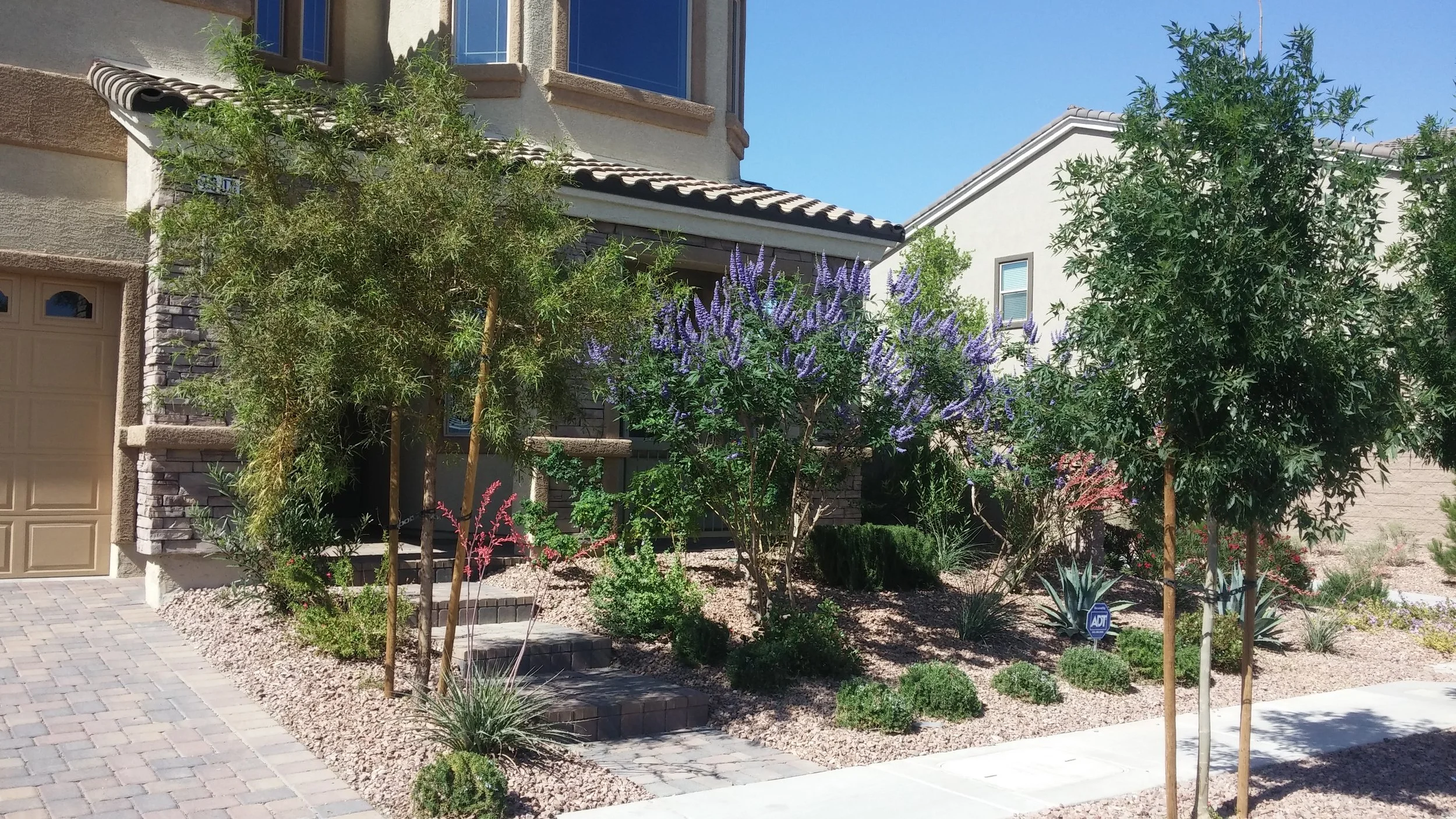 Front yard of a house with landscaped garden, trees, flowering bushes, and a brick pathway under a clear blue sky.