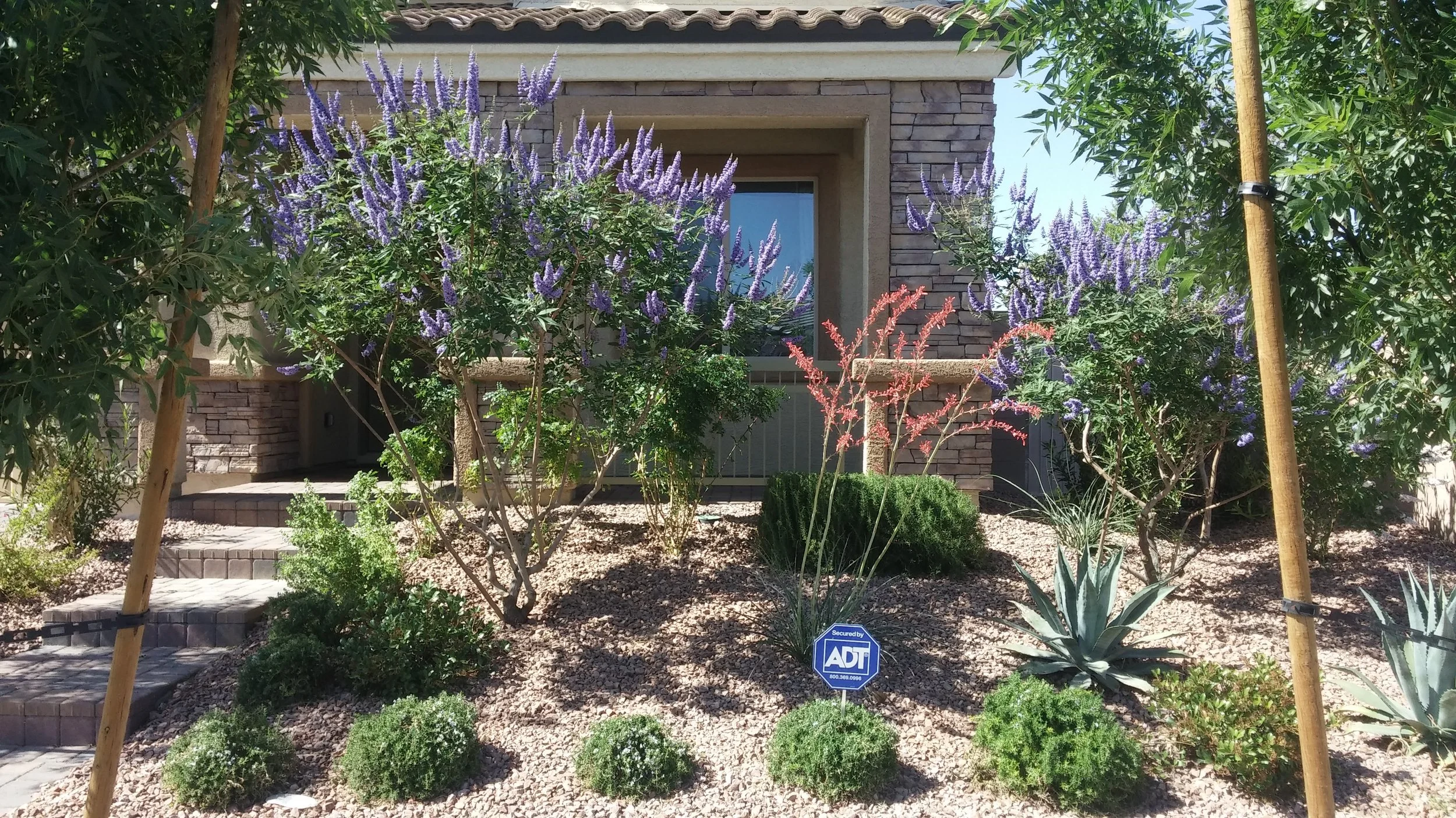 Front yard garden with purple flowering bushes, green shrubs, desert plants, and an ADT security sign, in front of a house with brick and stone exterior