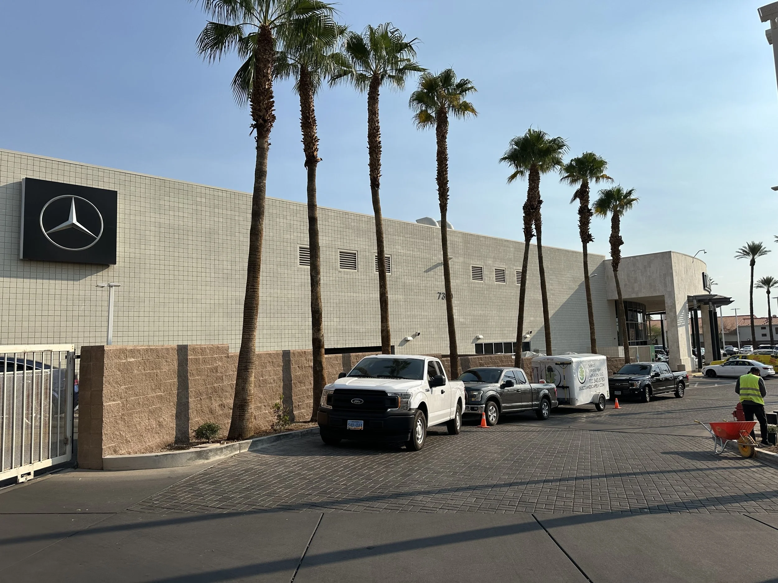 A Mercedes-Benz dealership building with a large Mercedes logo on the wall, several palm trees, parked cars, and a worker in a yellow vest near a wheelbarrow and orange cones.