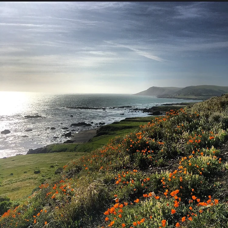 north of Cayucos, CA