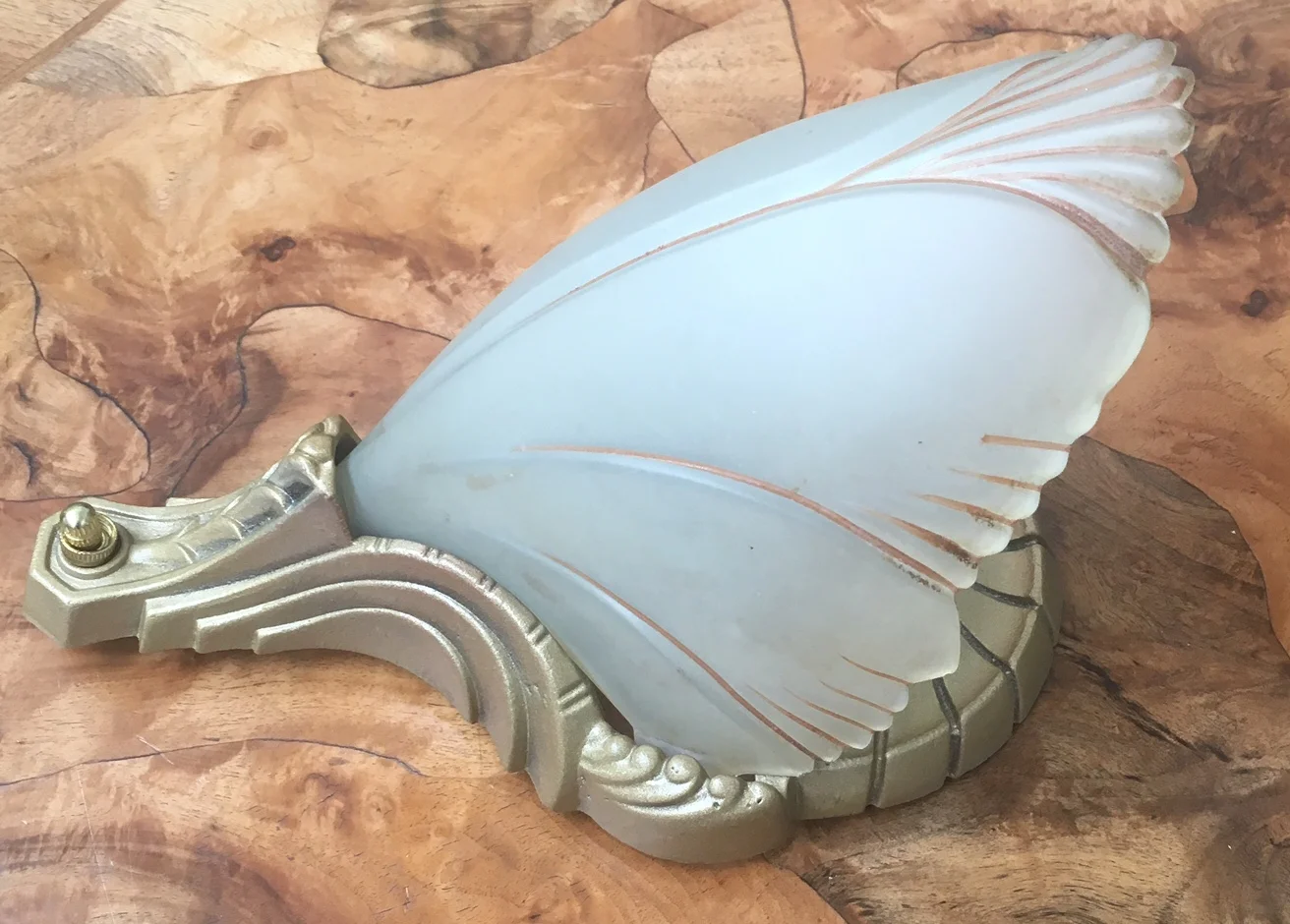 Bat wing 4.jpg