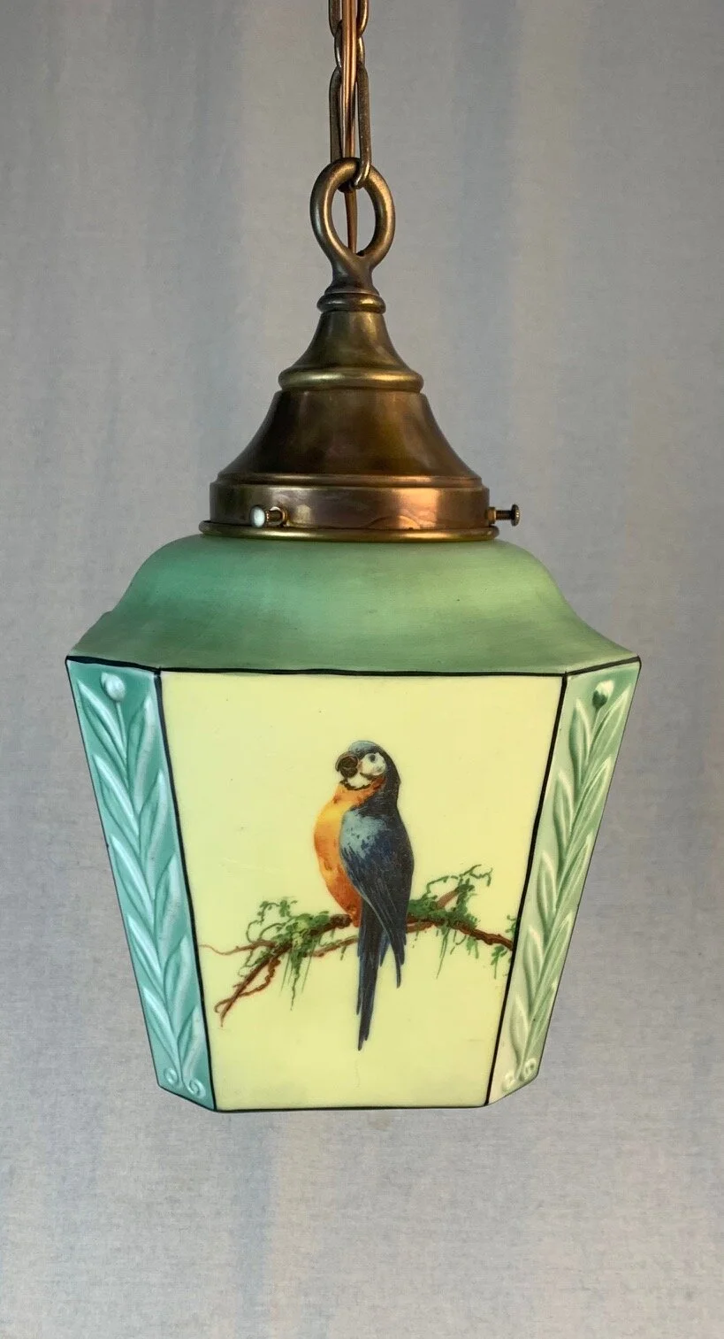 Parrot 2.jpg