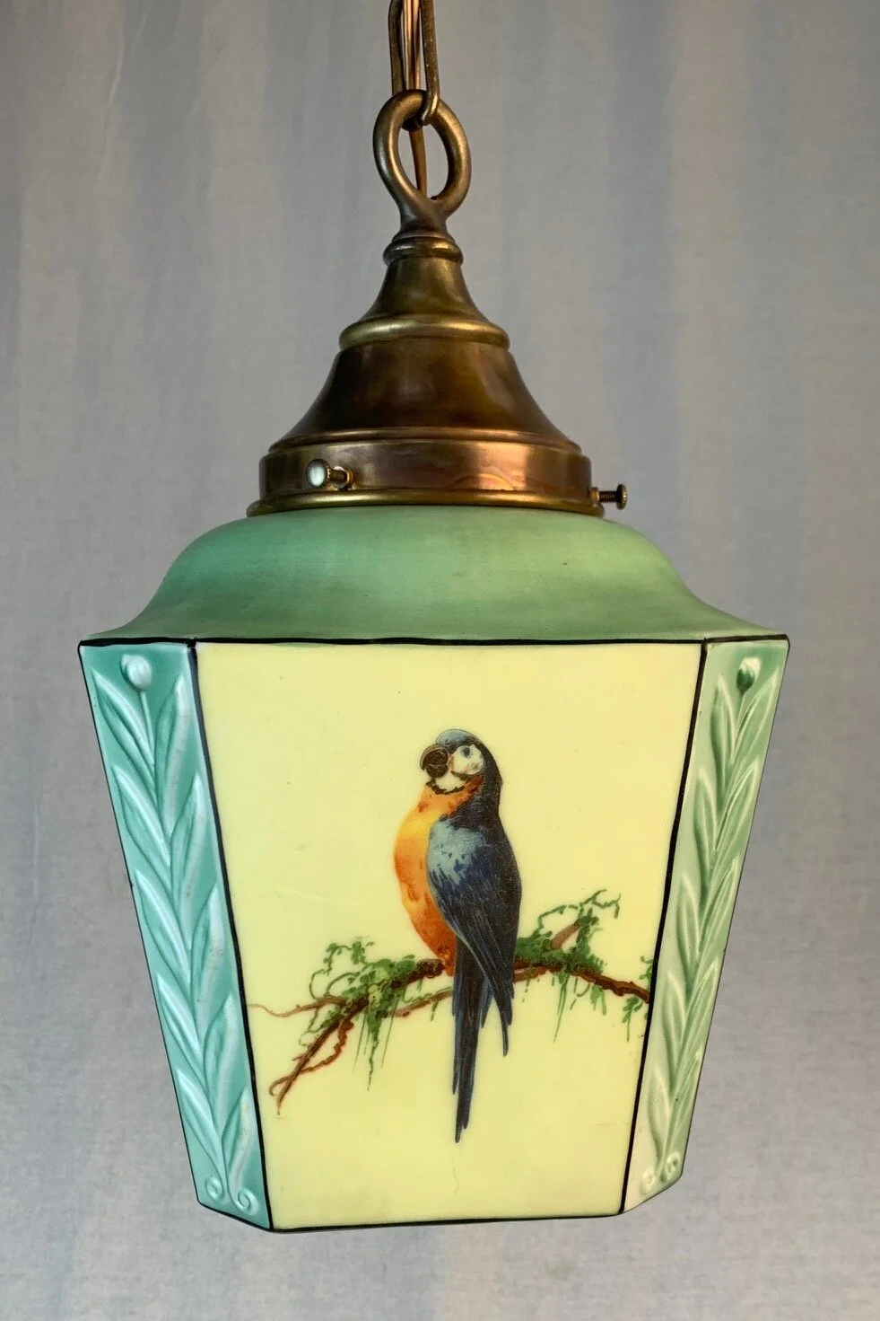Parrot6.jpg