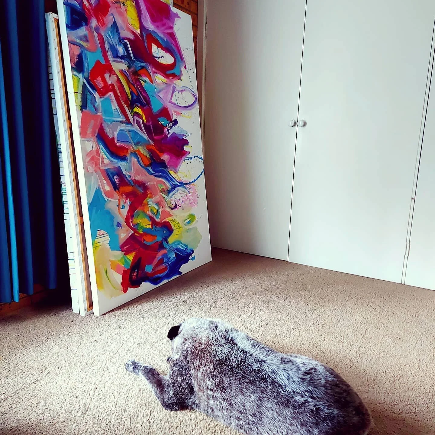 Ralph enjoying some #contemporaryart from the comfort of #home. Thanks to my PA for the extra space #mariekondo #thehomeedit #helloholt #kingralph #painting #jesskellarart