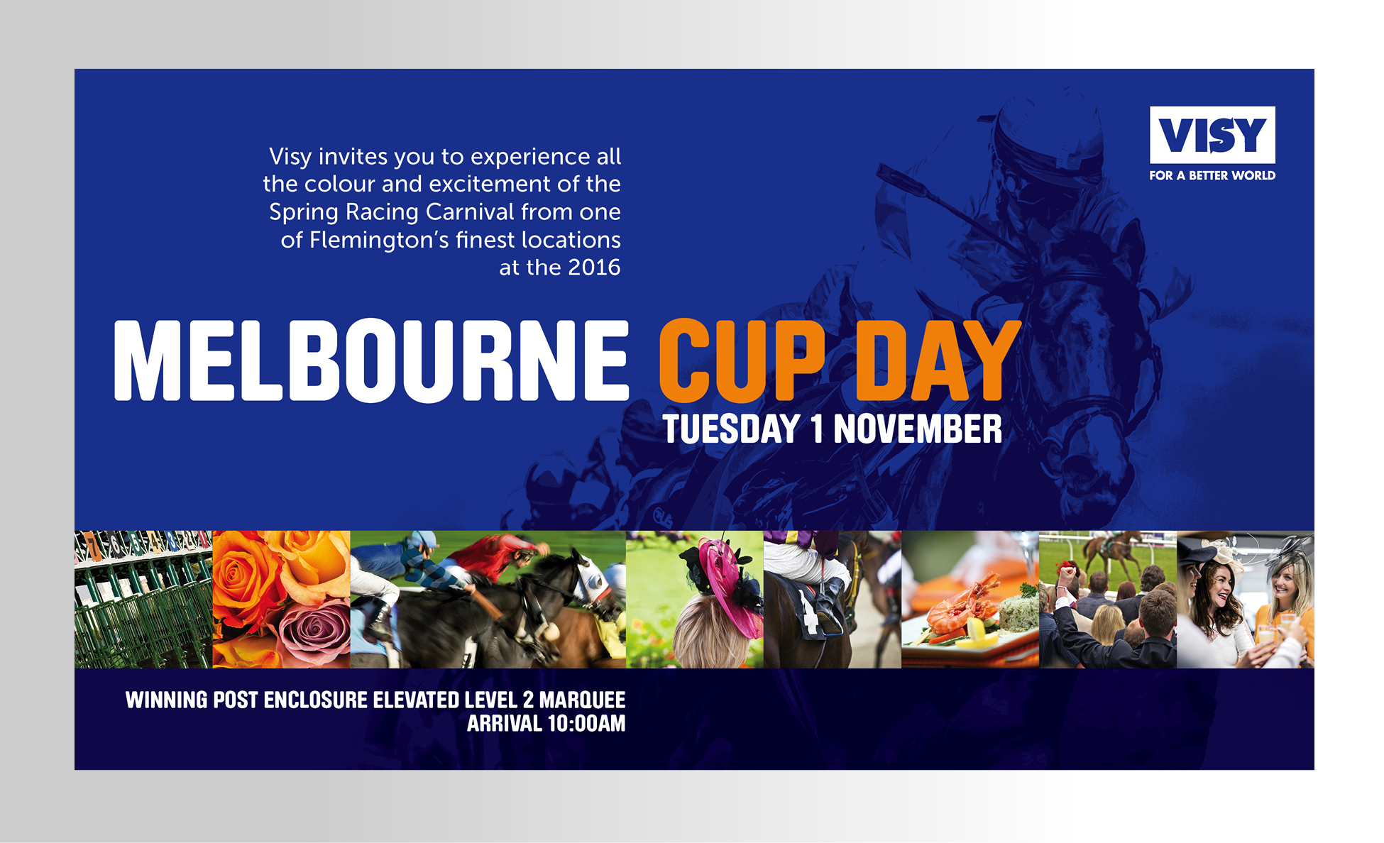 MD WEB MARKETING-11.jpg