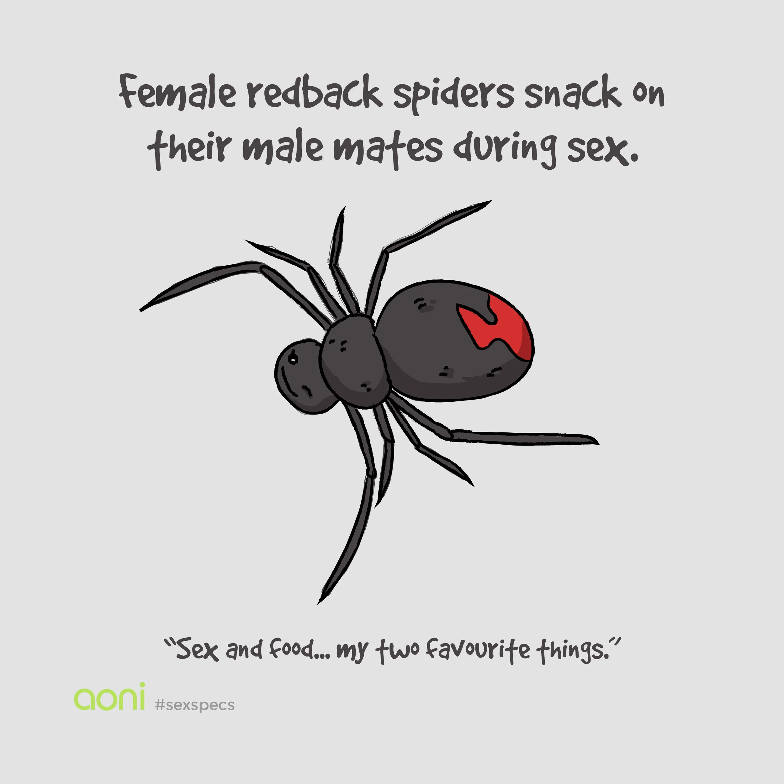 animalsexspecs11.jpg