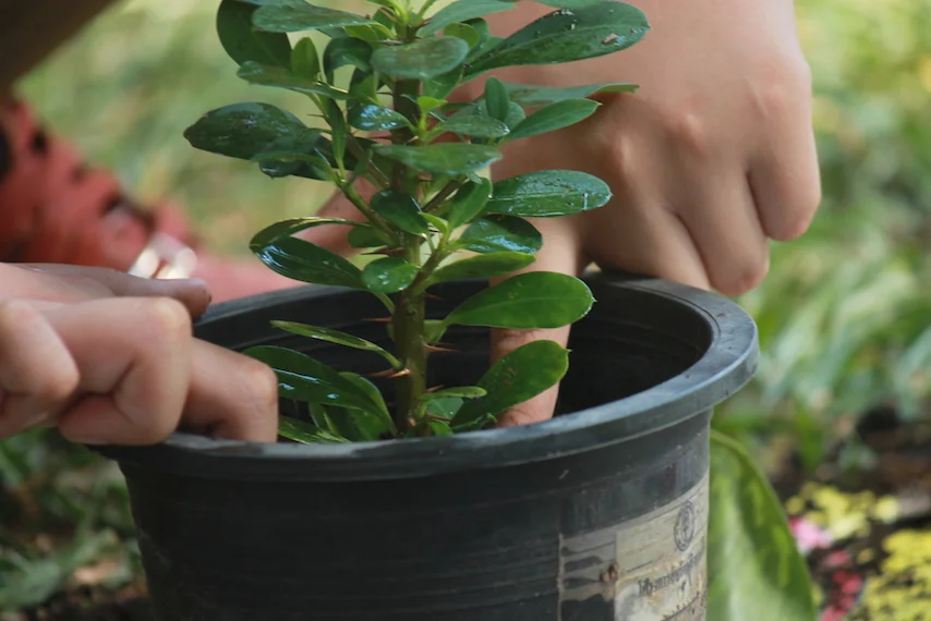 โครงการรักษาสิ่งแวดล้อม 2558