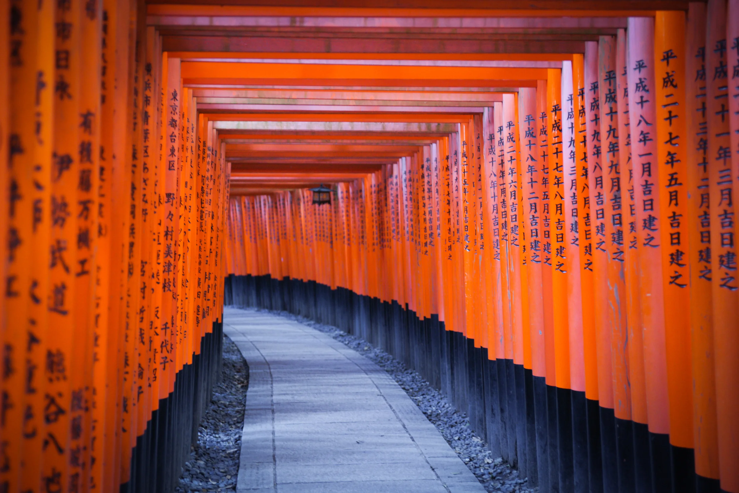 Back side of the Torii Gates are carved with Donors' Names
