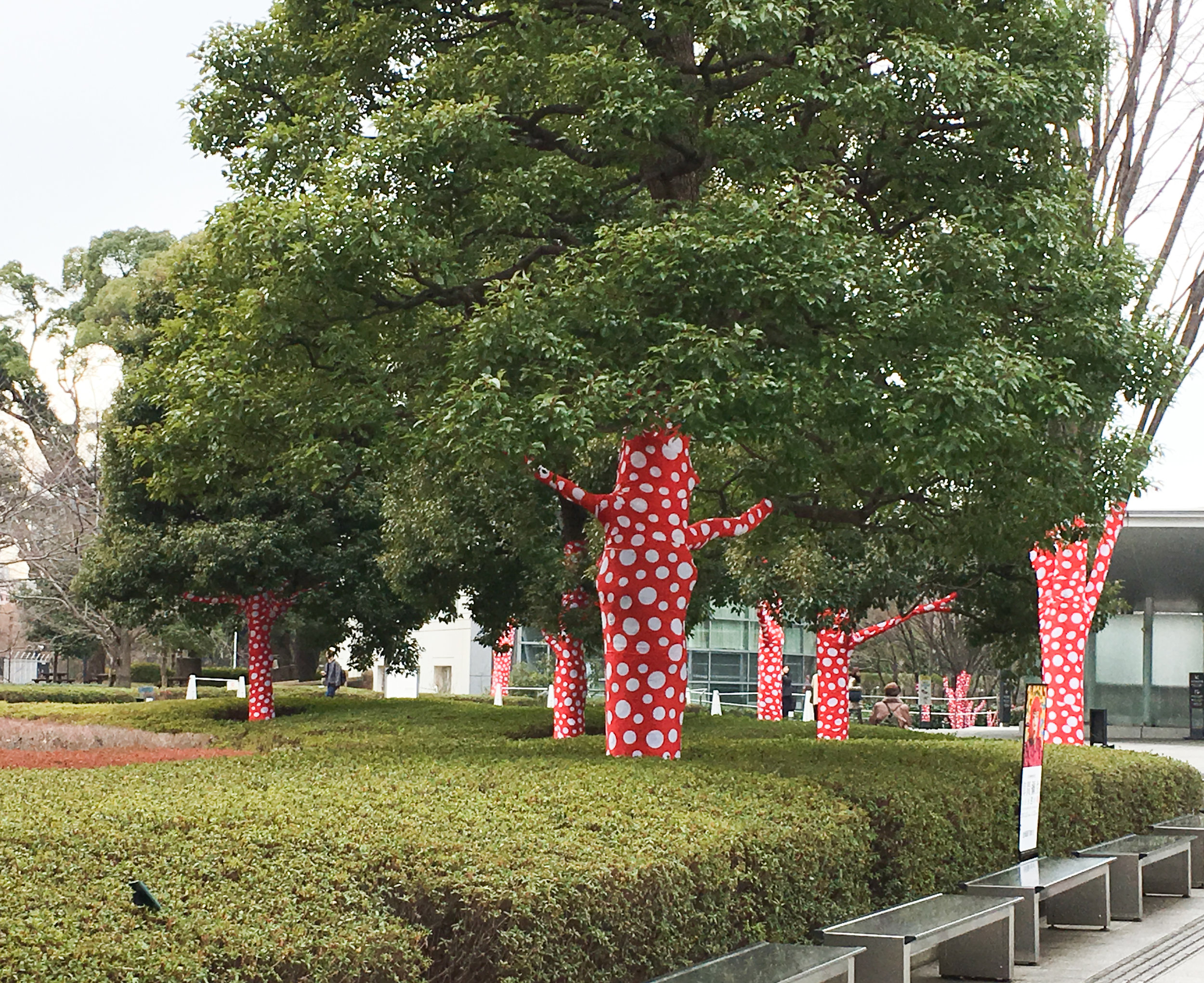 The tree outside of the Gallery wrapped in red and white polka-dots