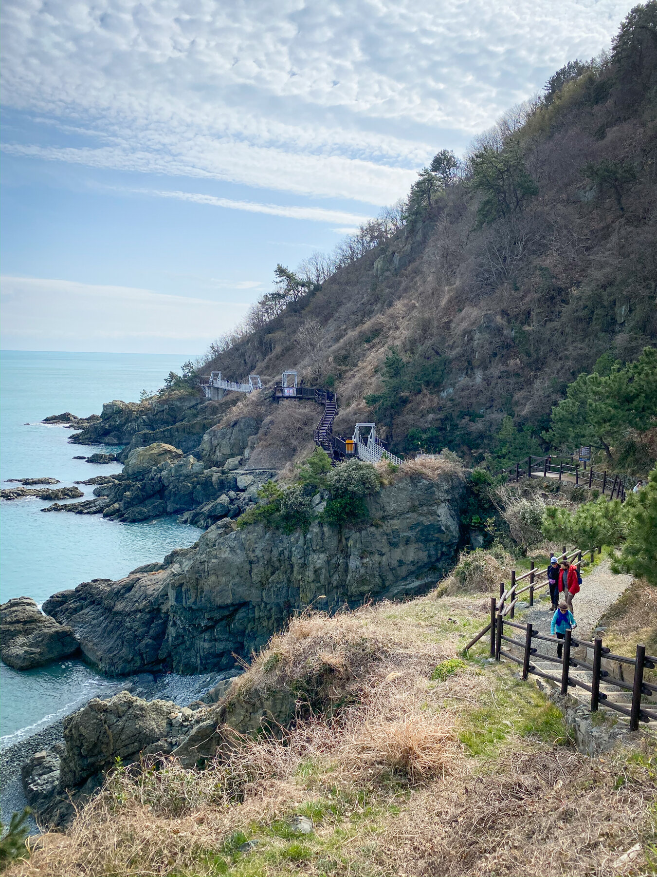 View from the coastal trail