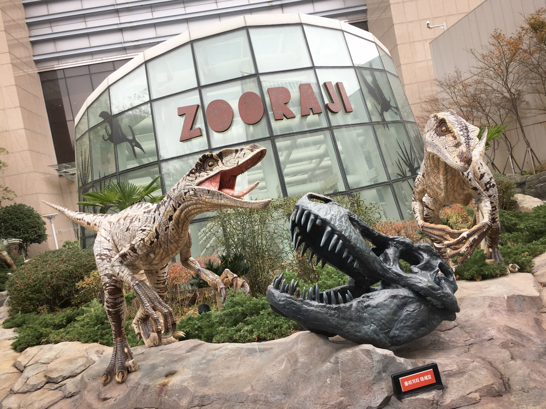 a Dinosaur Exhibit at the Shinsegae Mall