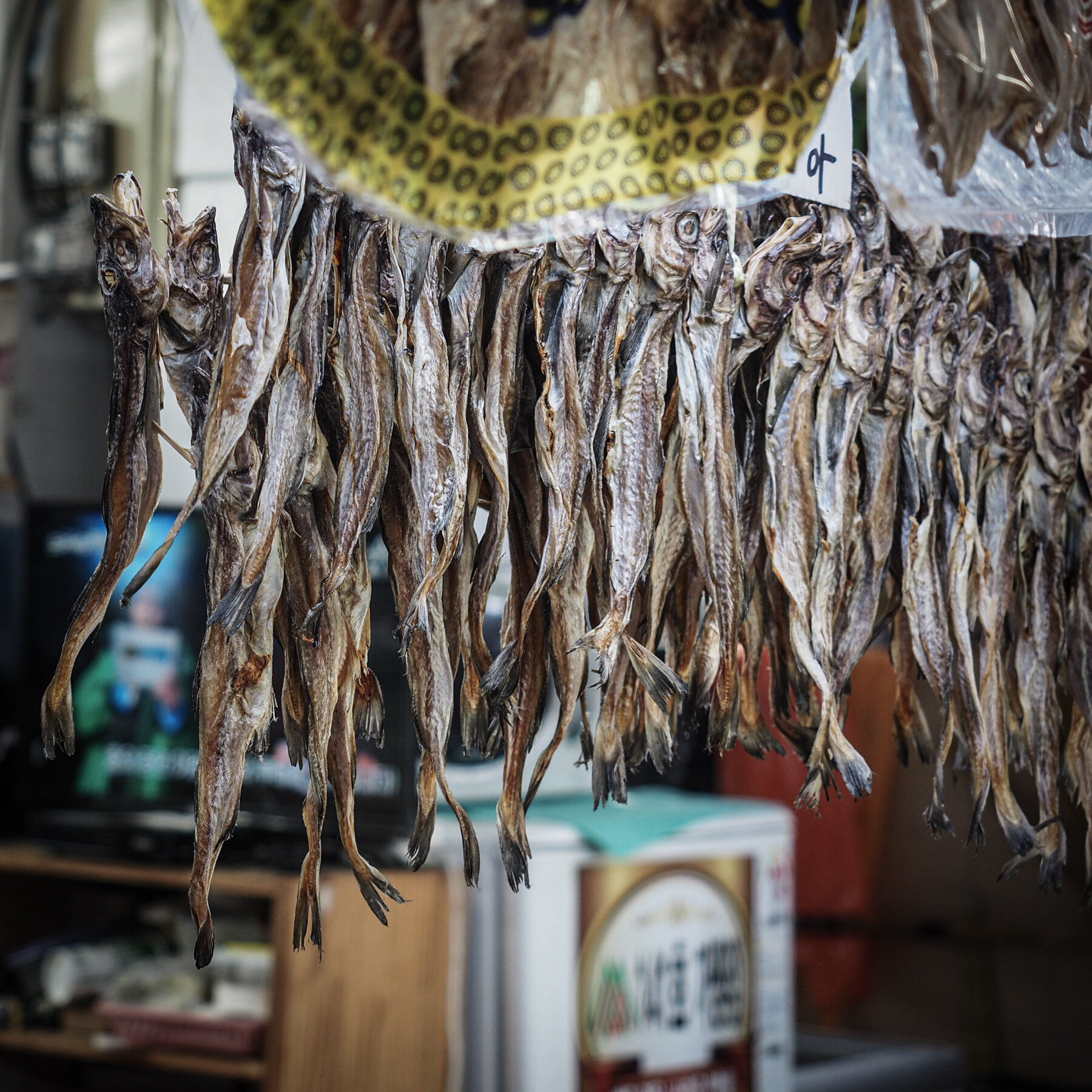 Dried Fish at the Jalgachi Market