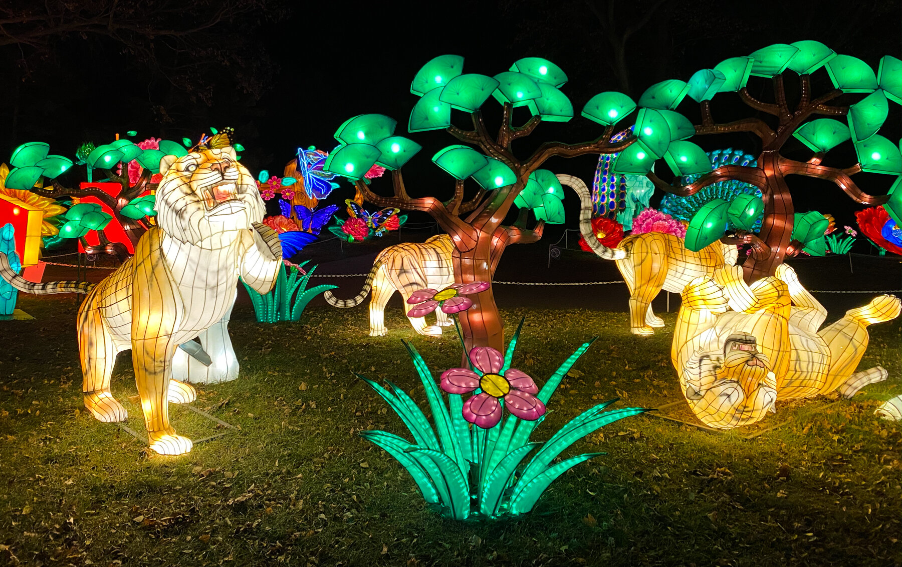 Chinese Lanterns at the Racine Zoo