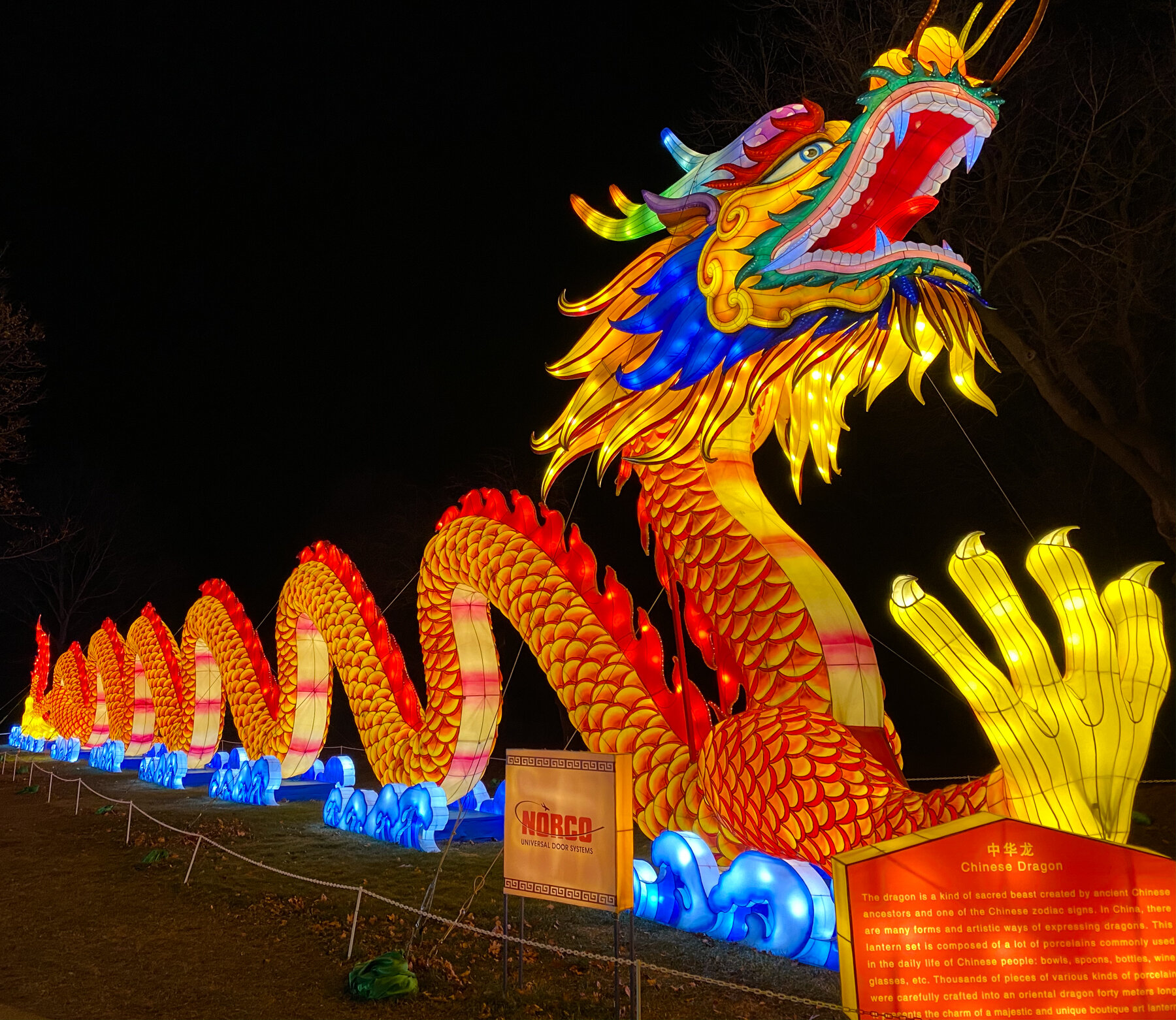 Chinese Lanterns at the Racine Zoo