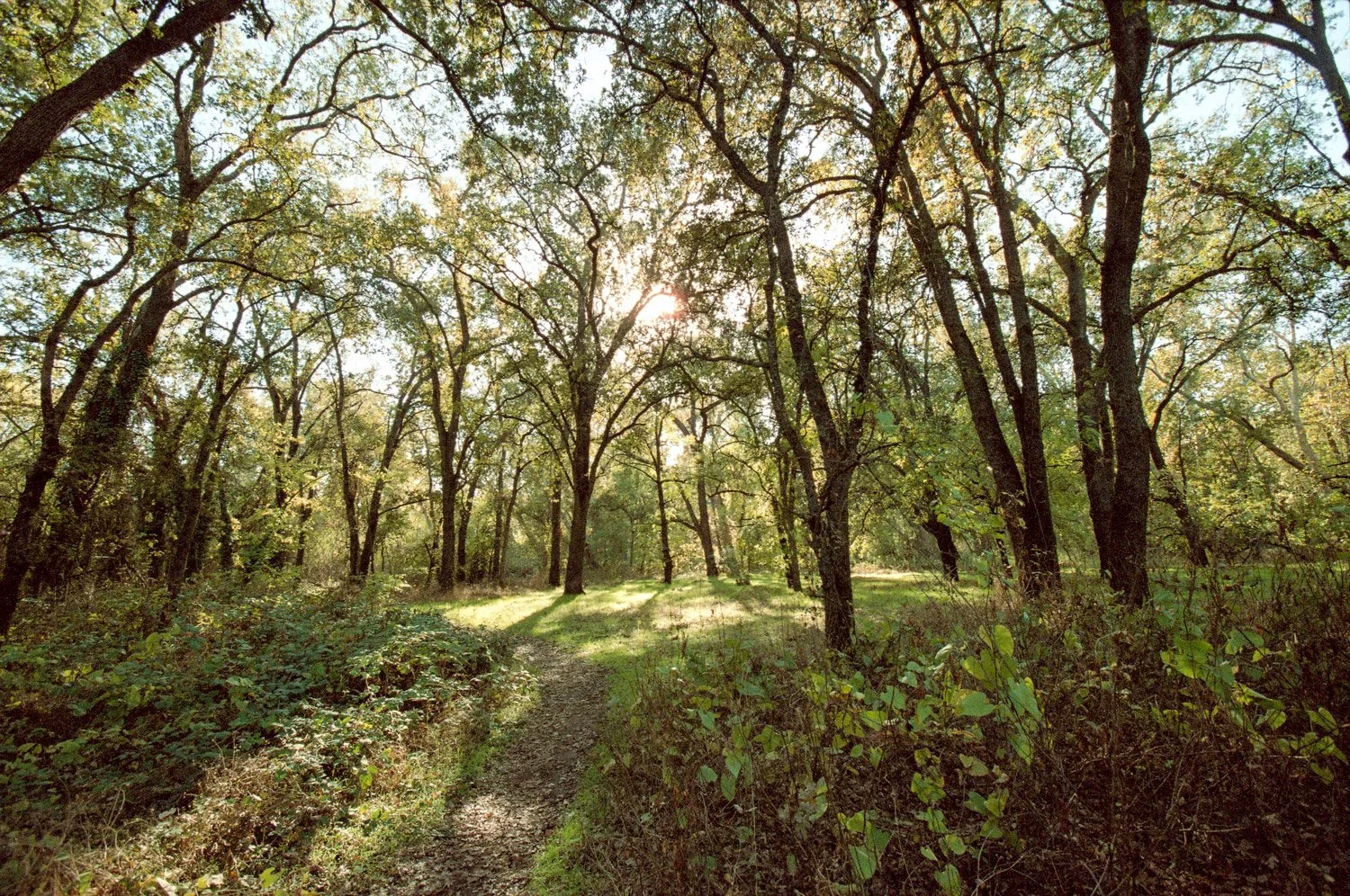 IMG024.jpg