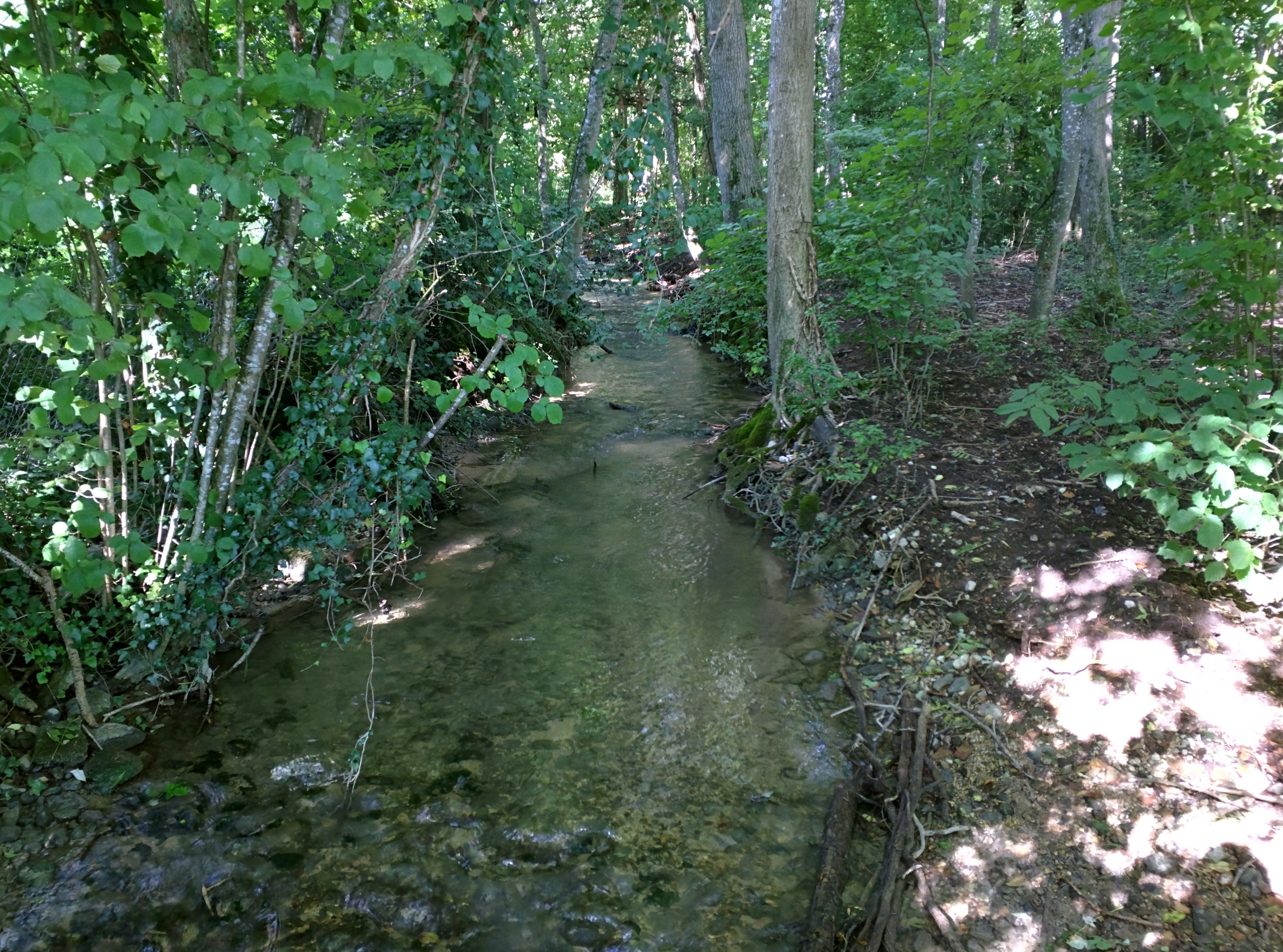 IMG_20150924_105933.jpg