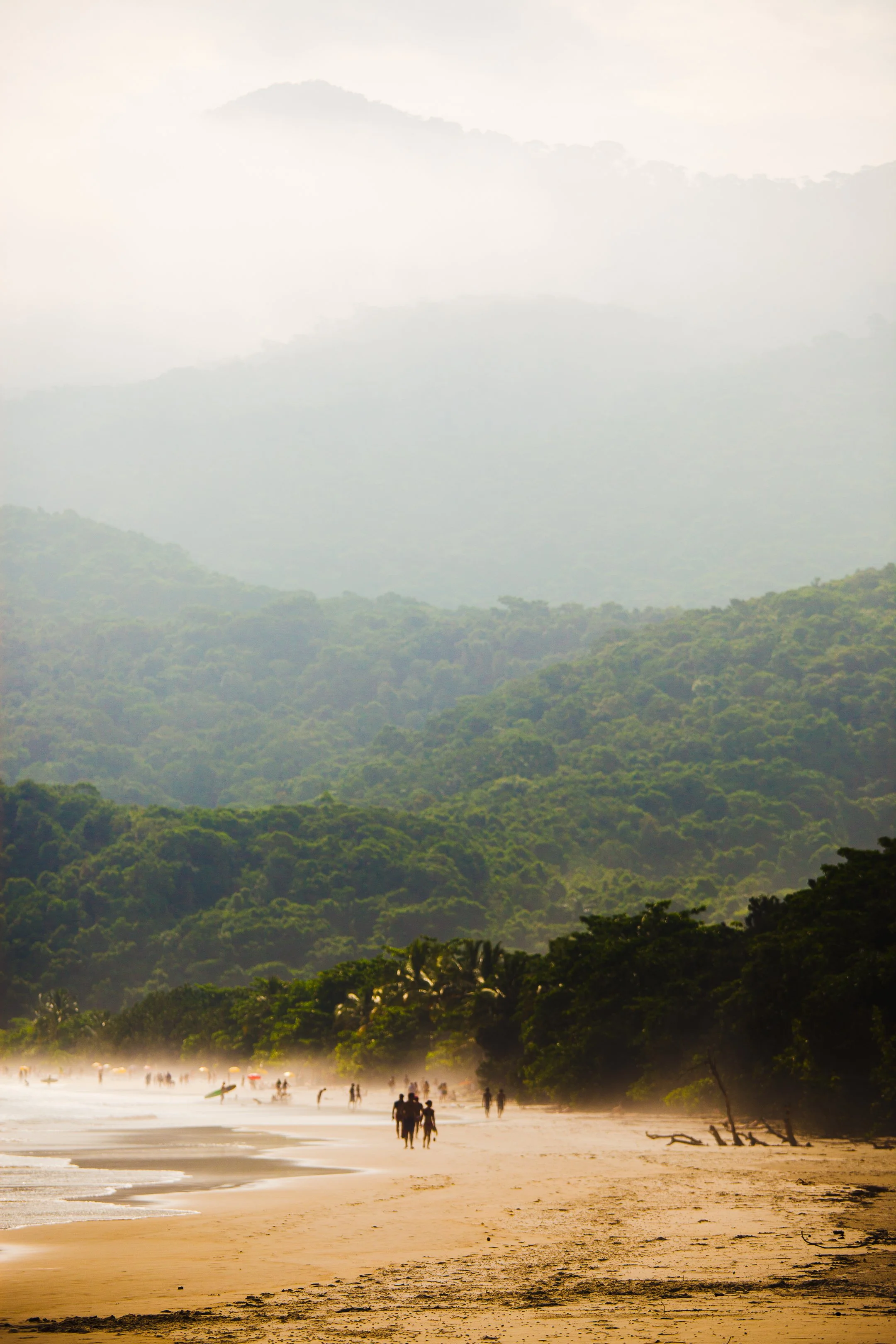 19. Elämän kerroksia, Ilha Grande, Brasilia, 2009 Copyright Laura Elo.jpg