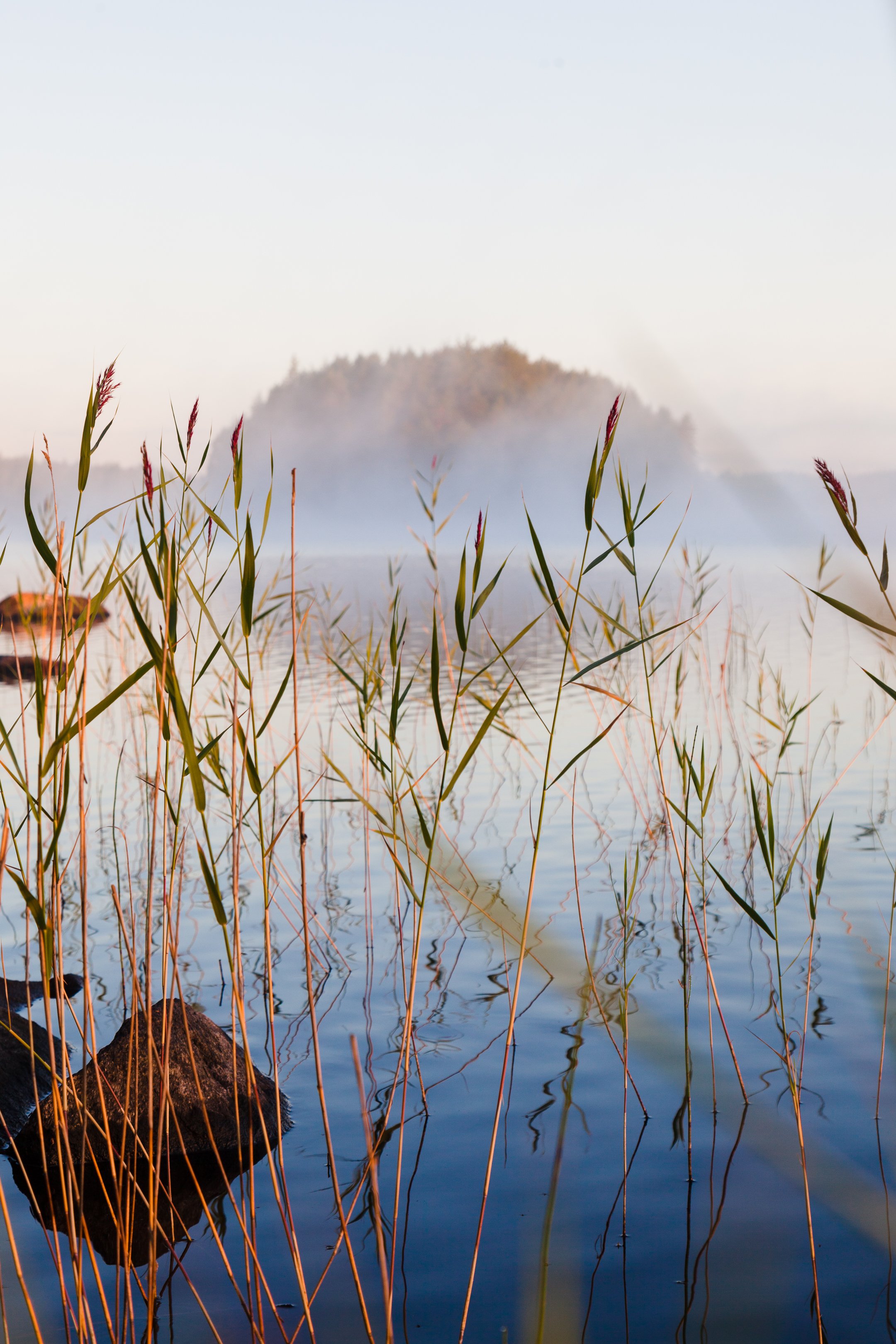 21. Kun muut nukkuvat, Kuhmo, Suomi, 2020 Copyright Laura Elo.jpg