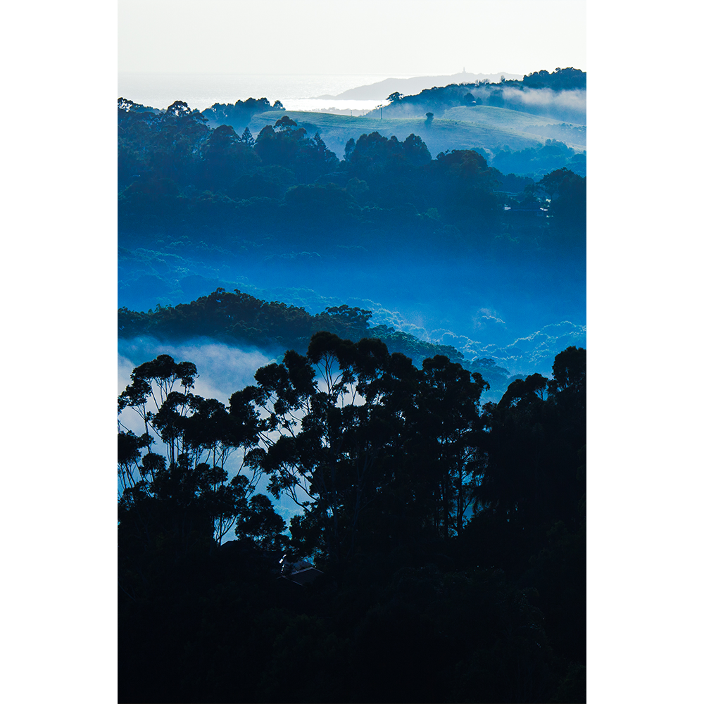 The hiss of the rainforest /  Sademetsän suhina, Byron Bay, Australia, 2008