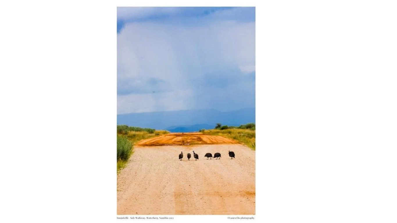 17. Suojatiellä : Safe Walkway, Waterberg, Namibia 2013_.jpg