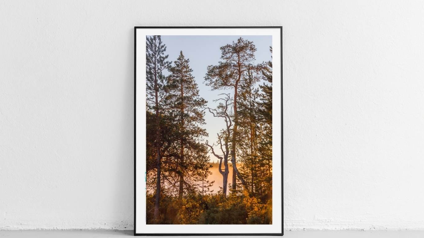 Aluviilu_Kuinka kaunis on maa, Kuhmo, Finland 2020 Laura Elo Photography.jpg