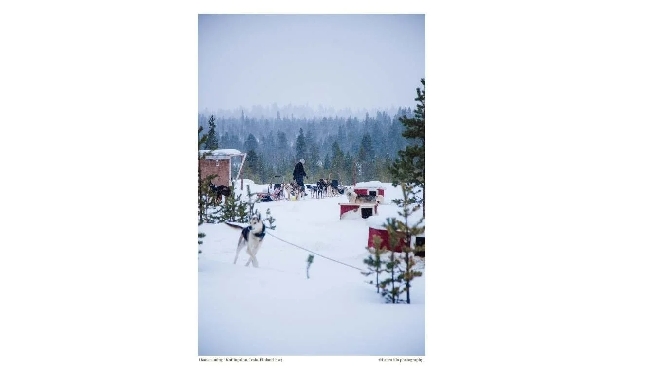 35. Kotiinpaluu, Ivalo, Finland 2015 By Laura Elo Photography.jpg