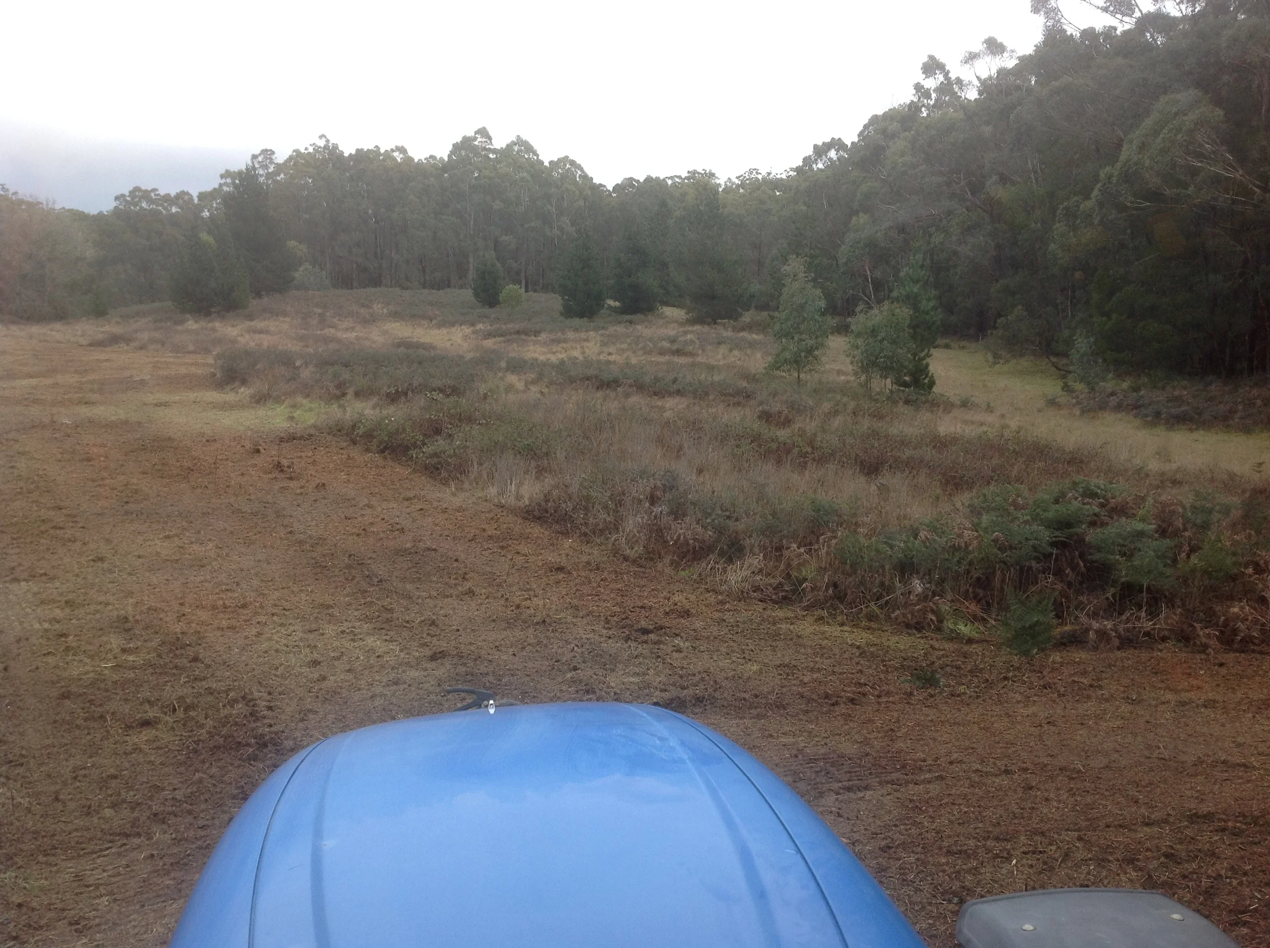 Rehabilitation works to return heavily infested properties starts with effective removal of all the unwanted vegetation. This is then followed by boom spraying to control the regrowth then options are available to fully cultivate, direct drill or utilise our newest technique with a Speed Disc with Air Seeder attachment. 