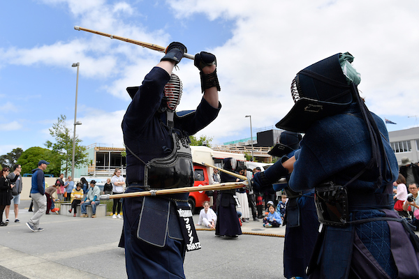 20171119 Hutt Japan Day 045.jpg